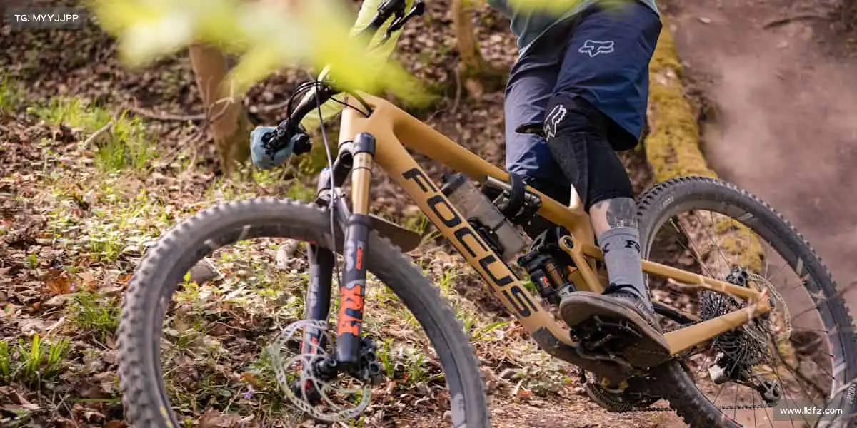 PC预测——强健体魄,守护所爱!👨👩👧👦运动让生活更美好!🌈